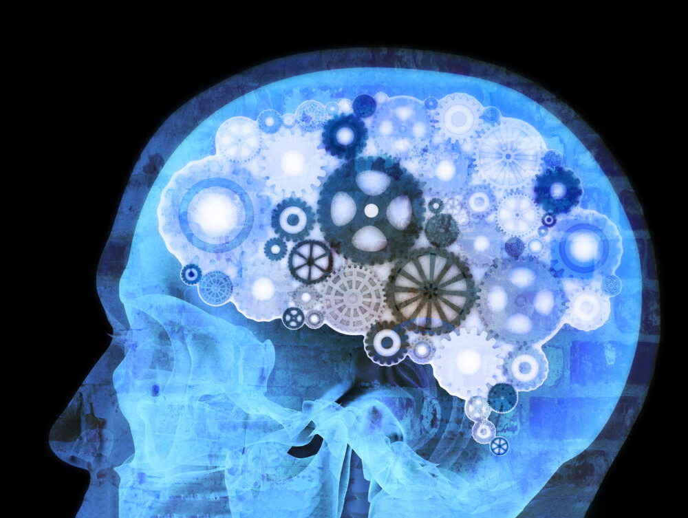 Нейропсихология и психосоматика как мозг формирует телесные симптомы и как нейронаука помогает их преодолевать