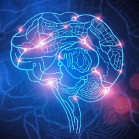 Нейропсихологическая реабилитация после черепно-мозговой травмы и инсульта восстановление когнитивных функций и адаптация к новым реалиям Нейропсихологическая реабилитация после черепно-мозговой травмы и инсульта восстановление когнитивных функций и адаптация к новым реалиям