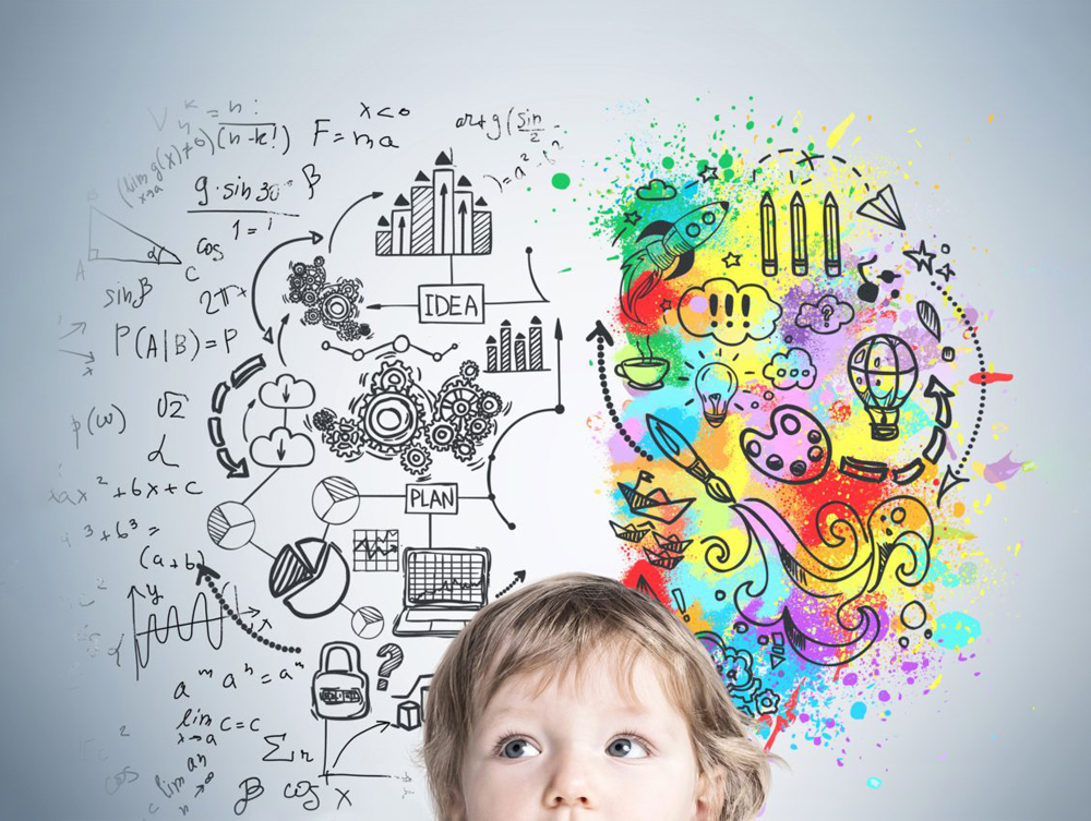 Детская нейропсихология формирование высших психических функций у детей — от нейробиологических основ до практических стратегий развития