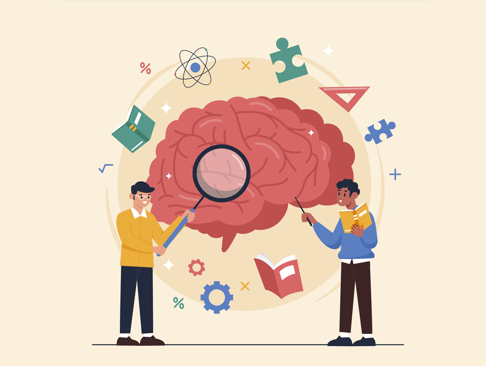 Нейропластичность во взрослом возрасте как наука о мозге меняет подходы к психологической помощи и личностному развитию