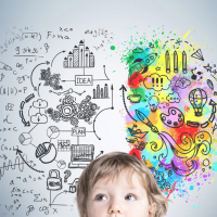 Детская нейропсихология формирование высших психических функций у детей — от нейробиологических основ до практических стратегий развития Детская нейропсихология формирование высших психических функций у детей — от нейробиологических основ до практических стратегий развития