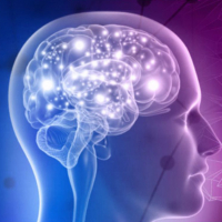 Интегративный подход к терапии хронической тревоги и депрессии сочетание когнитивно-поведенческих и телесно-ориентированных техник с учётом индивидуальной мотивации клиентов Интегративный подход к терапии хронической тревоги и депрессии сочетание когнитивно-поведенческих и телесно-ориентированных техник с учётом индивидуальной мотивации клиентов