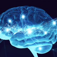 Нейропластичность в терапии хронической тревоги адаптивные техники для клиентов с разным когнитивным потенциалом.