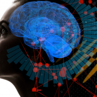 Самодиагностика когнитивных и эмоциональных нарушений когда обращение к нейропсихологу становится необходимым шагом к восстановлению Самодиагностика когнитивных и эмоциональных нарушений когда обращение к нейропсихологу становится необходимым шагом к восстановлению