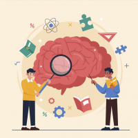 Нейропластичность во взрослом возрасте как наука о мозге меняет подходы к психологической помощи и личностному развитию Нейропластичность во взрослом возрасте как наука о мозге меняет подходы к психологической помощи и личностному развитию