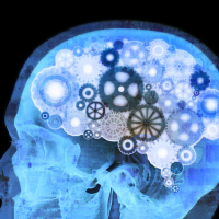 Нейропсихология и психосоматика как мозг формирует телесные симптомы и как нейронаука помогает их преодолевать Нейропсихология и психосоматика как мозг формирует телесные симптомы и как нейронаука помогает их преодолевать